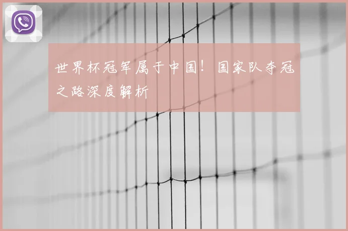 世界杯冠军属于中国!国家队夺冠之路深度解析