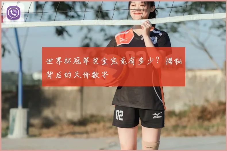 世界杯冠军奖金究竟有多少?揭秘背后的天价数字