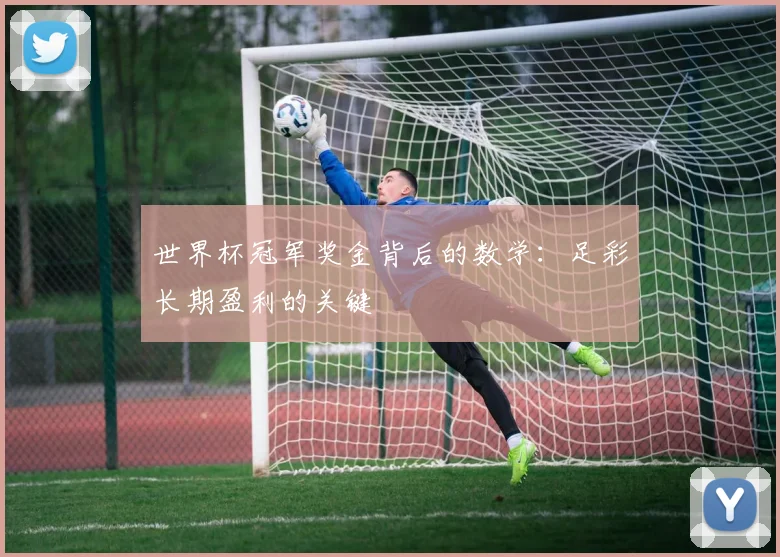 世界杯冠军奖金背后的数学:足彩长期盈利的关键